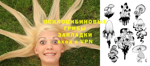 ешки Кинешма