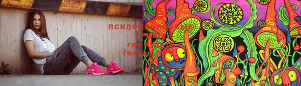 первитин Козельск