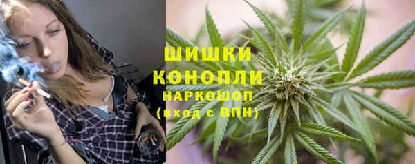 крисы Козловка
