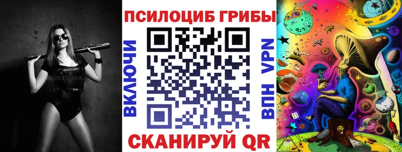 Псилоцибиновые грибы Psilocybine cubensis  Купить где  Билибино 